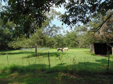 233 NE Ridge Loop, Madison, FL 32340 photo 22