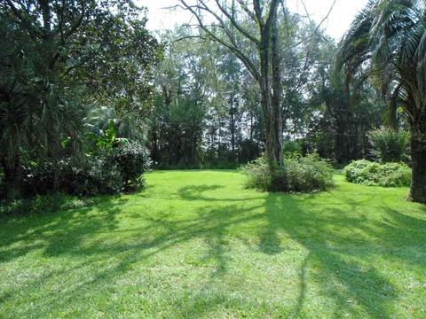 233 NE Ridge Loop, Madison, FL 32340 photo 18