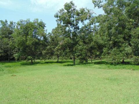 233 NE Ridge Loop, Madison, FL 32340 photo 19
