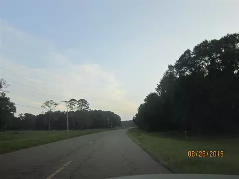 3376 Beasley Williams Rd, Perry, FL 32348 photo 10