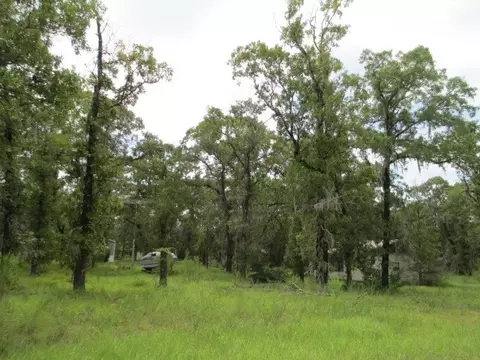 2699 Live Oak Rd, Perry, FL 32348 photo 5