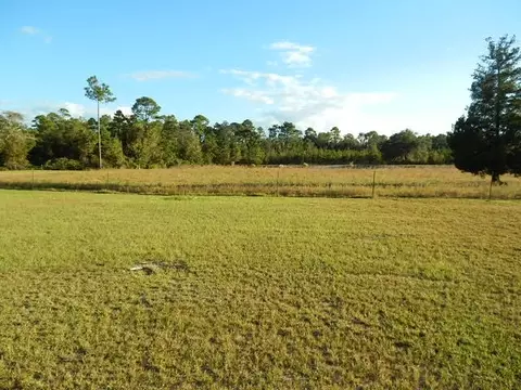 3580 Bobby King Rd, Perry, FL 32347 photo 2
