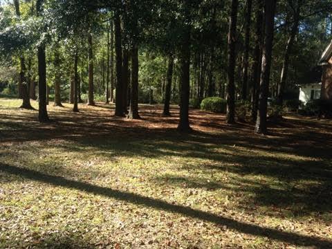 108 Worley Way, Perry, FL 32347 photo 24