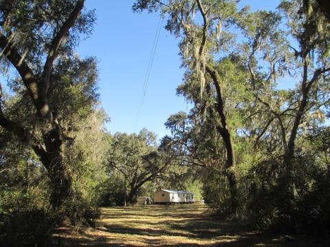 8548 Beach Rd, Perry, FL 32348 photo 10