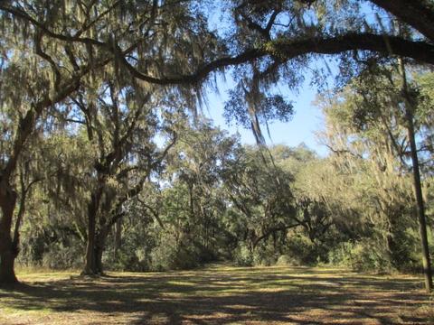 8548 Beach Rd, Perry, FL 32348 photo 2