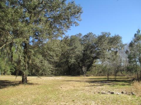 8548 Beach Rd, Perry, FL 32348 photo 12