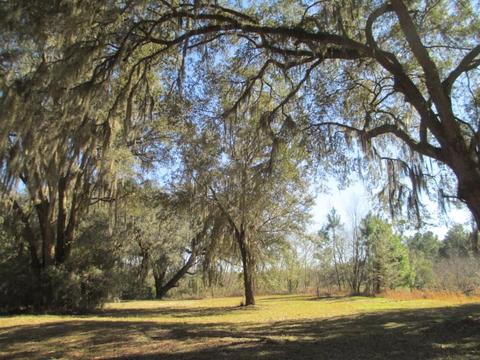 8548 Beach Rd, Perry, FL 32348 photo 5