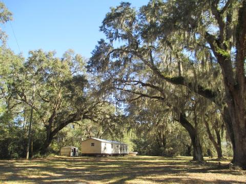 8548 Beach Rd, Perry, FL 32348 photo 4