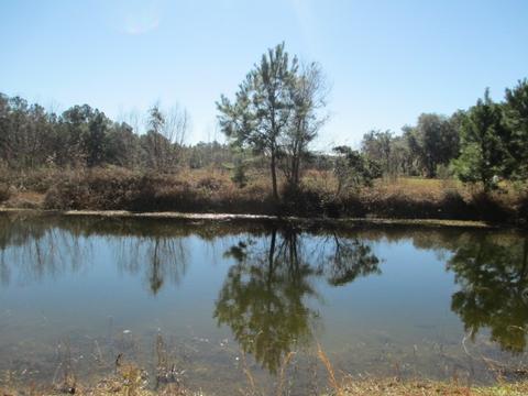 8548 Beach Rd, Perry, FL 32348 photo 3