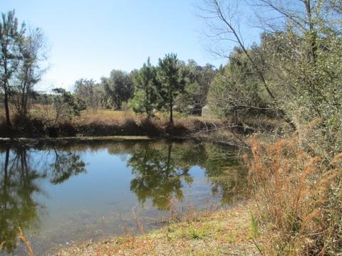 8548 Beach Rd, Perry, FL 32348 photo 9