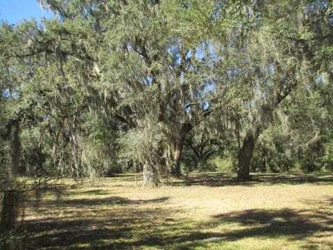 8548 Beach Rd, Perry, FL 32348 photo 11