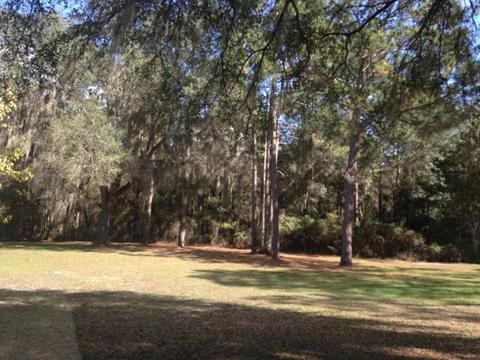 671 Charles E Hendry Rd, Perry, FL 32348 photo 13