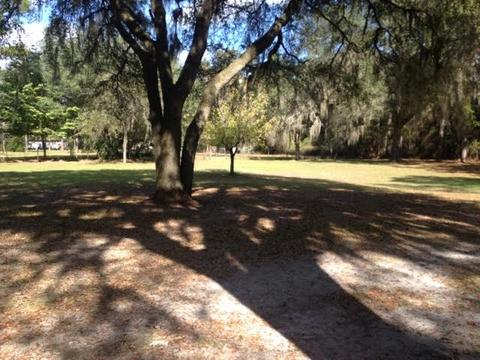 671 Charles E Hendry Rd, Perry, FL 32348 photo 12