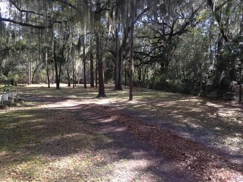 671 Charles E Hendry Rd, Perry, FL 32348 photo 11