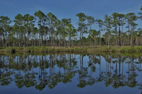 1031 Mill Rd, Carrabelle, FL 32322 photo 25