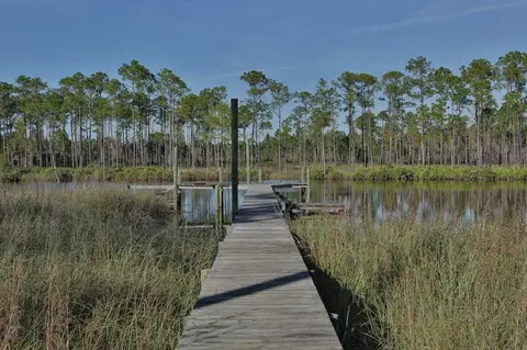 1031 Mill Rd, Carrabelle, FL 32322 photo 5