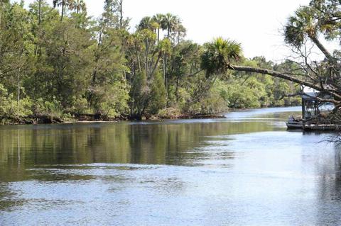 1259 NE Rivers Bend Way, Steinhatchee, FL 32359 photo 15