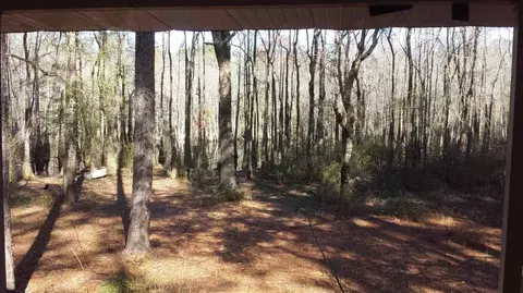 2564 Tiny Leaf Rd, Tallahassee, FL 32305 photo 16