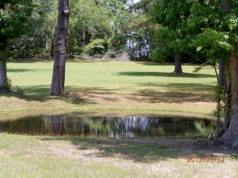 340 Phelps Rd, Lamont, FL 32336 photo 23
