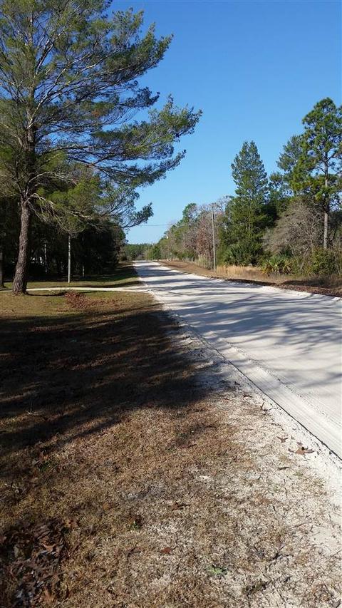 15550 E Royal Oak Dr, Keaton Beach, FL 32347 photo 5