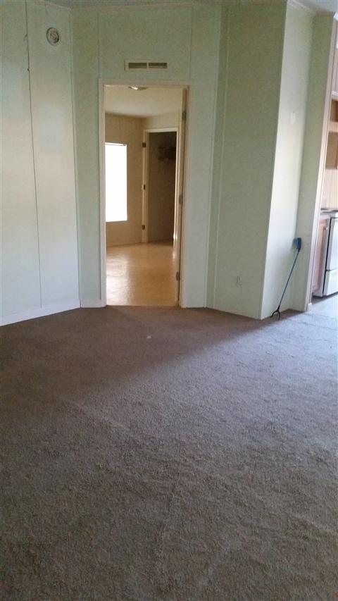 15550 E Royal Oak Dr, Keaton Beach, FL 32347 photo 8