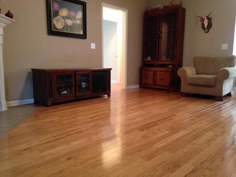 4851 Wash Davis Rd, Perry, FL 32347 photo 11