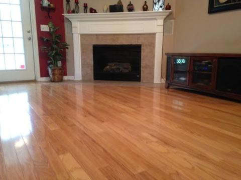 4851 Wash Davis Rd, Perry, FL 32347 photo 9