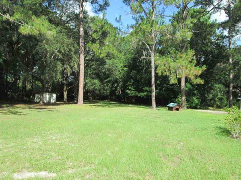 803 Puckett Rd, Perry, FL 32348 photo 7