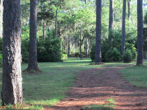 417 Plantation Rd, Perry, FL 32348 photo 21