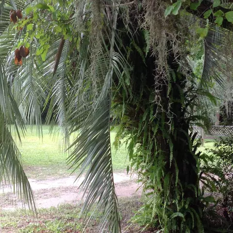 306 E Pace Dr, Perry, FL 32347 photo 35