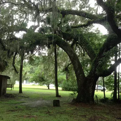 306 E Pace Dr, Perry, FL 32347 photo 33