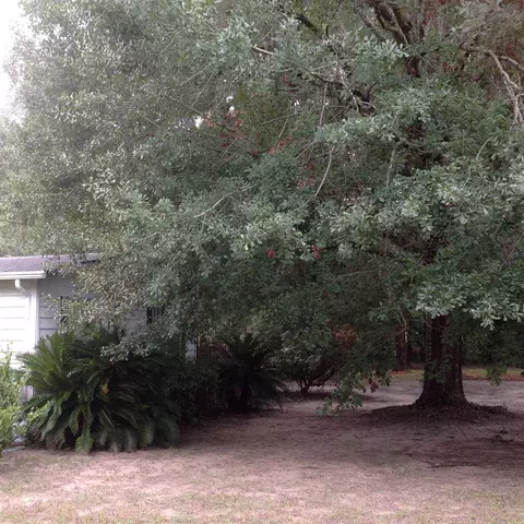 306 E Pace Dr, Perry, FL 32347 photo 6