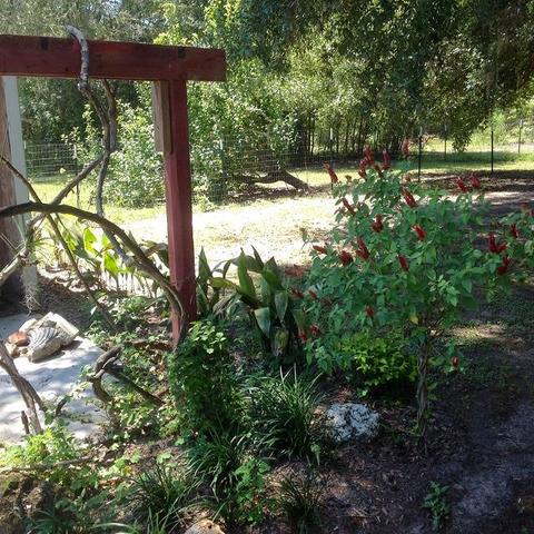 1457 Paul Poppell Rd, Perry, FL 32347 photo 26