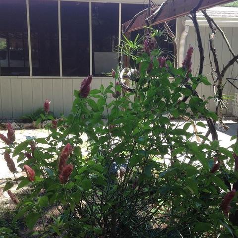 1457 Paul Poppell Rd, Perry, FL 32347 photo 31