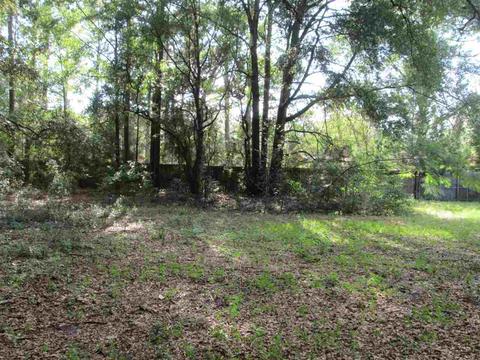 103 Hemlock Rd, Perry, FL 32348 photo 29