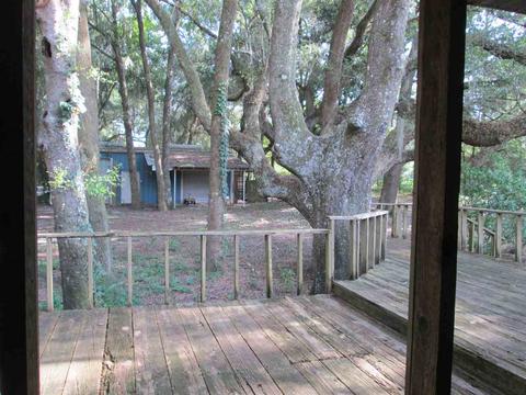 103 Hemlock Rd, Perry, FL 32348 photo 25