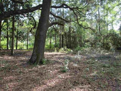 103 Hemlock Rd, Perry, FL 32348 photo 31