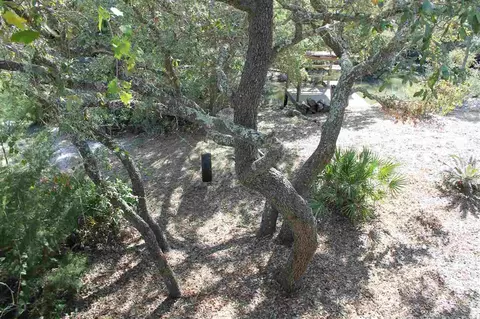 1287 Angus Morrison Rd, Alligator Point, FL 32346 photo 32
