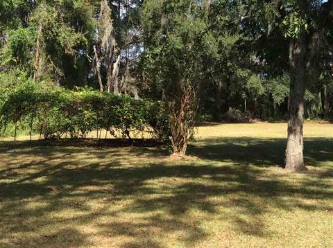3485 Foley Cut Off Rd, Perry, FL 32348 photo 28