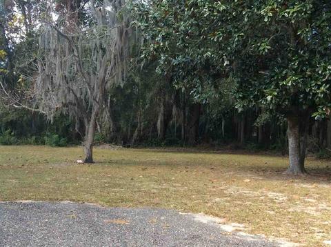 3485 Foley Cut Off Rd, Perry, FL 32348 photo 26