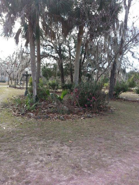 2144 Black Oak Rd, Perry, FL 32348 photo 18