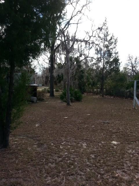 2144 Black Oak Rd, Perry, FL 32348 photo 15