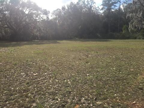 111 S Hendry Ave, Perry, FL 32347 photo 4