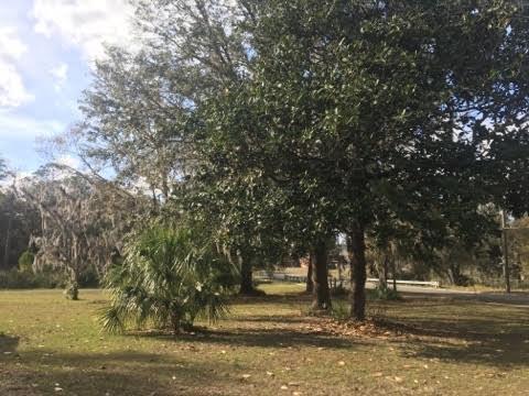 111 S Hendry Ave, Perry, FL 32347 photo 5