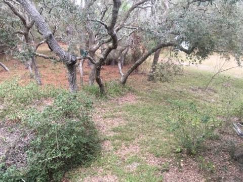 15360 Seaview Dr, Perry, FL 32348 photo 24