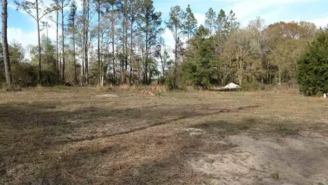 2460 Shipman Ln, Perry, FL 32348 photo 20