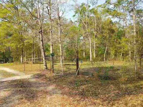 259 Pineview Rd # -A, Monticello, FL 32344 photo 20