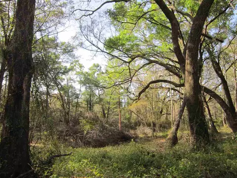 1849 Cairo Parker Rd, Perry, FL 32347 photo 28