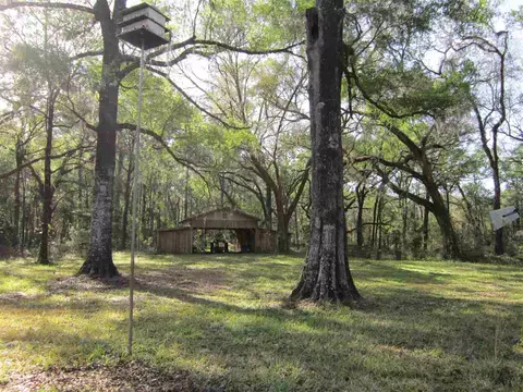 1849 Cairo Parker Rd, Perry, FL 32347 photo 26