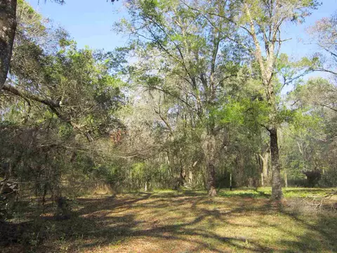 1849 Cairo Parker Rd, Perry, FL 32347 photo 27